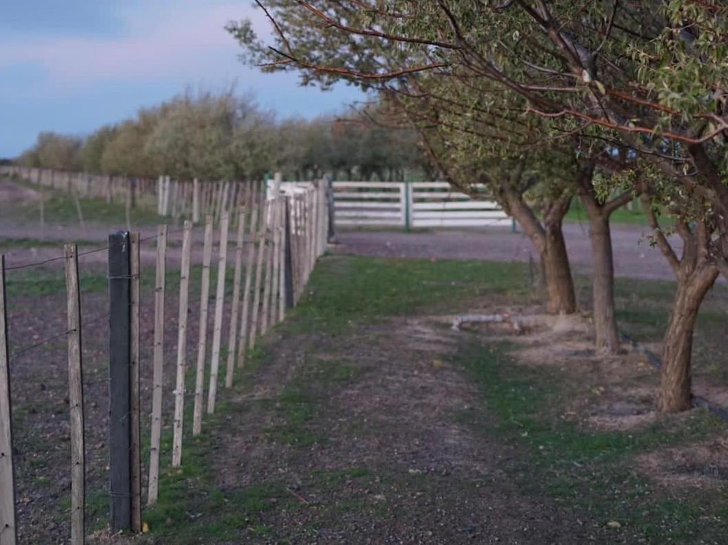 Estancia Tatay Trelew Exterior foto