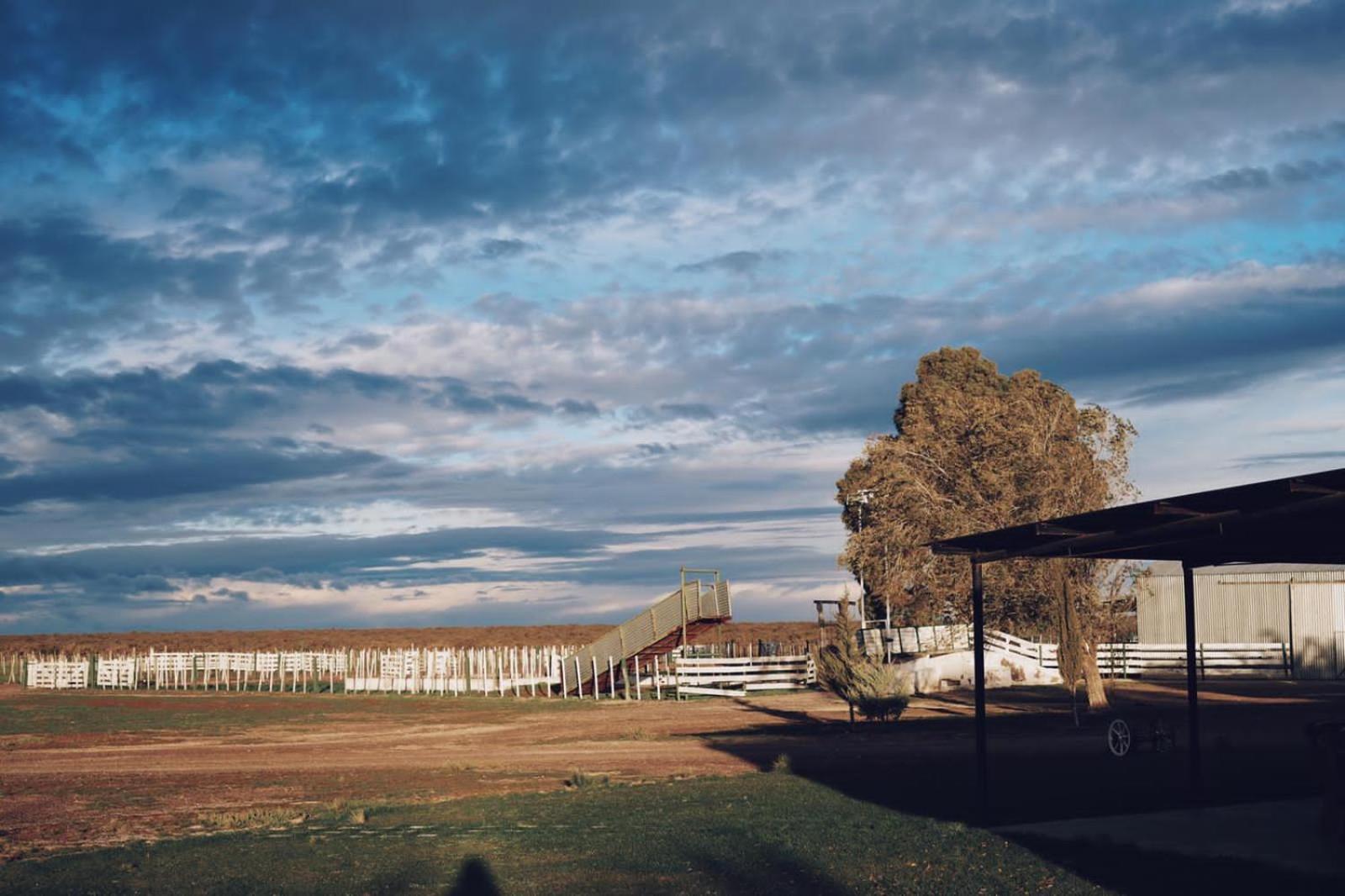 Estancia Tatay Trelew Exterior foto